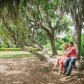 Couple Sitting on Oak Tree
