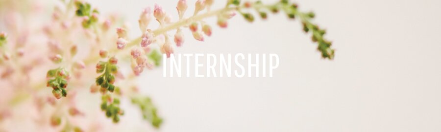 Internship Program